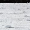 Sněhová kalamita na silnici Havlíčkův Brod Jihlava