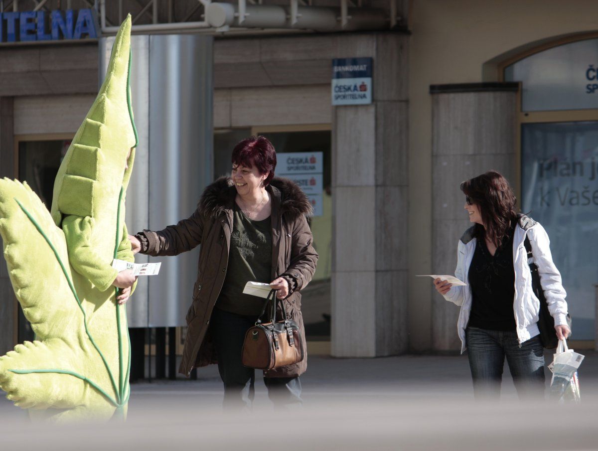 Brigáda - student převlečený za konopí