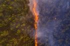 Robert Irwin: Požár buše