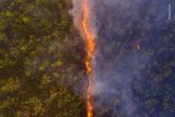 Robert Irwin: Požár buše