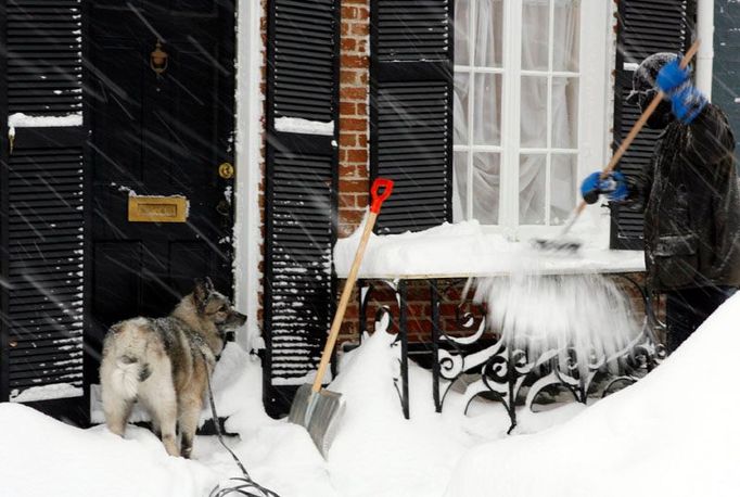 Obyvatel Alexandrie v USA se snaží vyhrát marný zápas se sněhem. V oblasti Baltimore a Washingtonu napadlo v noci ze soboty na neděli přes 56 cm čerstvého sněhu.