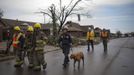 Rescue workers use a canine while searching house-to-house for survivors in a neighborhood left devastated by a tornado in Moore, Oklahoma, in the outskirts of Oklahoma City May 21, 2013. Rescuers went building to building in search of victims and thousands of survivors were homeless on Tuesday, a day after a massive tornado tore through a suburb of Oklahoma City, wiping out whole blocks of homes and killing at least 24 people. Emergency workers pulled more than 100 survivors from the rubble of homes, schools and a hospital, and around 237 people were injured. Cadaver dogs sniffed through the scattered planks and bricks of ruined homes on Tuesday. REUTERS/Adrees Latif (UNITED STATES - Tags: DISASTER ENVIRONMENT ANIMALS) Published: Kvě. 21, 2013, 10:10 odp.