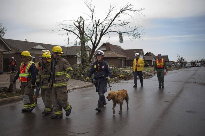 Rescue workers use a canine while searching house-to-house for survivors in a neighborhood left devastated by a tornado in Moore, Oklahoma, in the outskirts of Oklahoma City May 21, 2013. Rescuers went building to building in search of victims and thousands of survivors were homeless on Tuesday, a day after a massive tornado tore through a suburb of Oklahoma City, wiping out whole blocks of homes and killing at least 24 people. Emergency workers pulled more than 100 survivors from the rubble of homes, schools and a hospital, and around 237 people were injured. Cadaver dogs sniffed through the scattered planks and bricks of ruined homes on Tuesday. REUTERS/Adrees Latif (UNITED STATES - Tags: DISASTER ENVIRONMENT ANIMALS) Published: Kvě. 21, 2013, 10:10 odp.