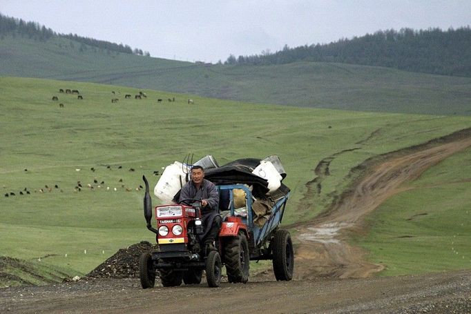 Mongolský venkov. Dobytek cesty nepotřebuje a člověku musí stačit pomalá jízda a čínský traktor.