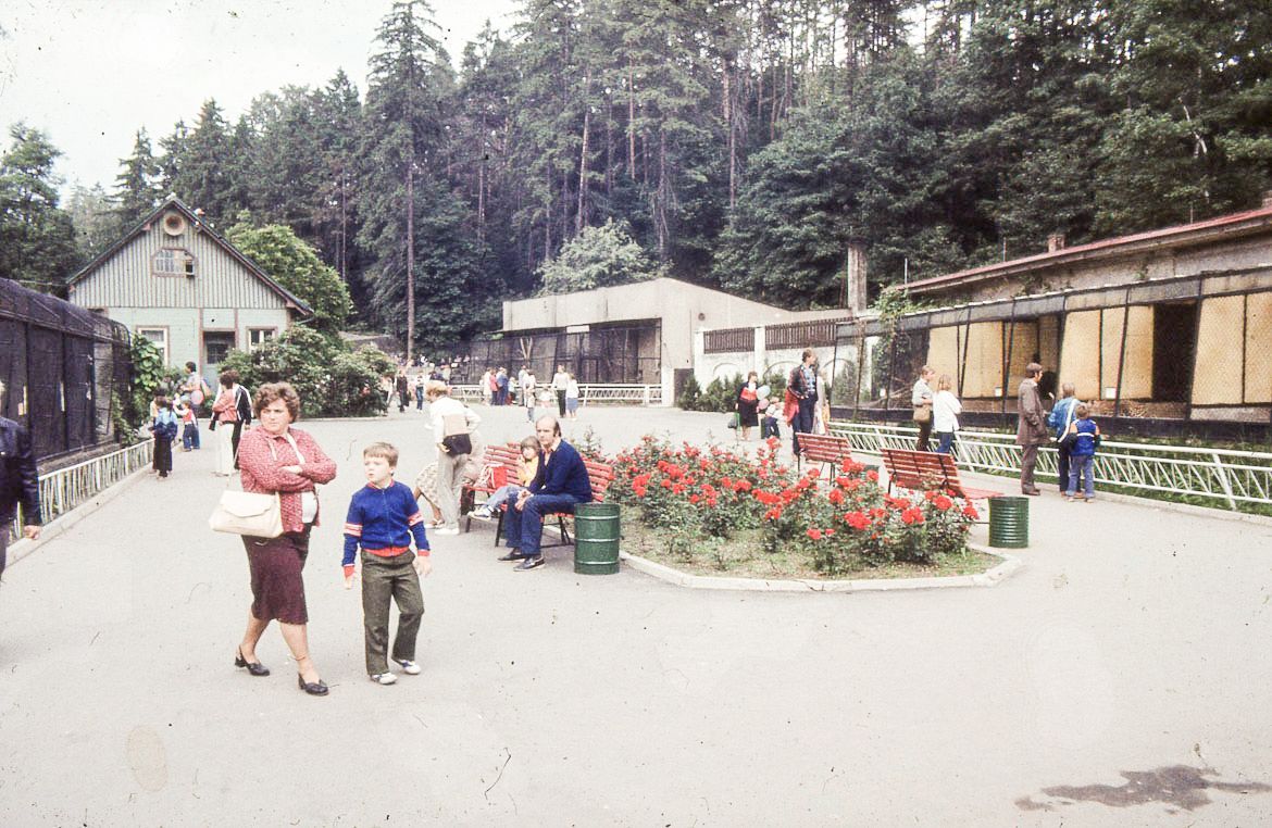 ZOO Liberec, zoo, zoologická zahrada, Liberec, historie, výročí, Domácí