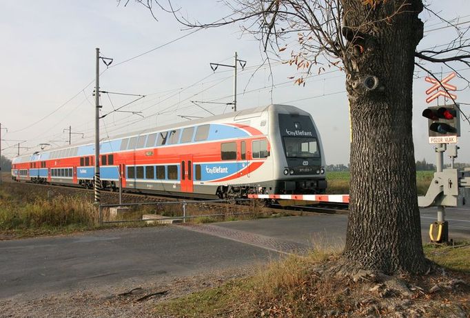 V současnosti mají ČD 37 jednotek CityElefant z celkového počtu šedesáti objednaných. V provozu jsou zejména v Praze, ve Středočeském a Pardubickém kraji a na Ostravsku. Do konce roku vyjede dalších pět.