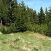 Krkonošský národní park