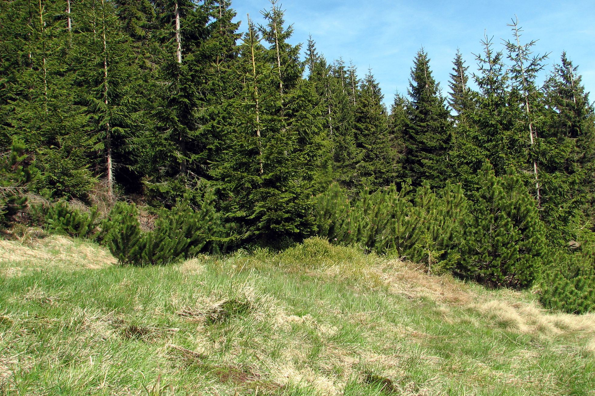 Krkonošský národní park