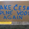 Stávka studentů vysokých škol za klima