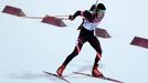 Soči 2014, biatlon 10 km: stříbrný Dominik Landertinger