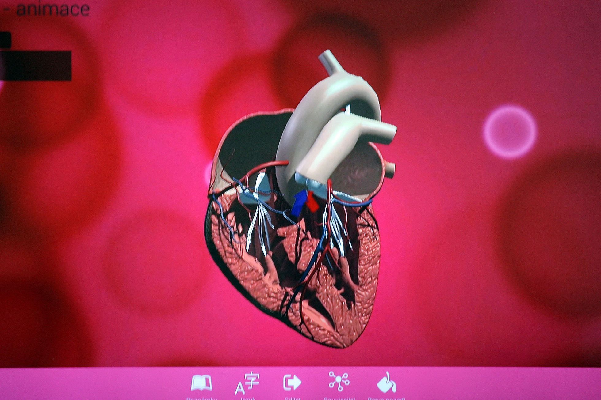 Vyučování podle 3D animace
