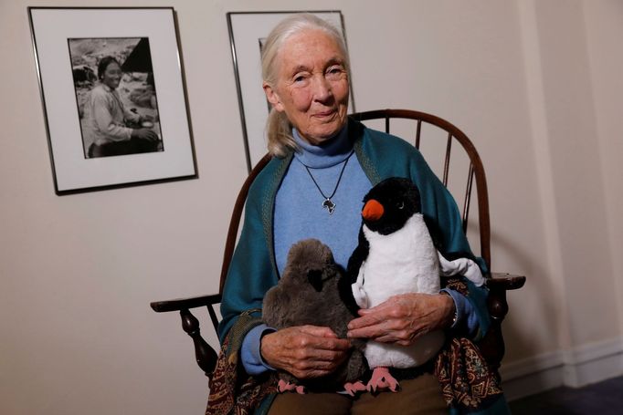 Bioložka Jane Goodallová.