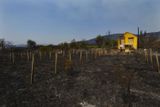 Oheň spolykal vše, co mu stálo v cestě. Takto dopadla vinice a domek jedné makedonské rodiny.