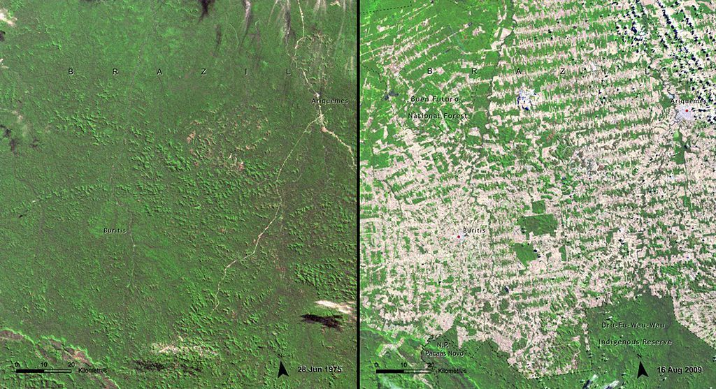 3/12| Fotogalerie: NASA odhalila změny světa