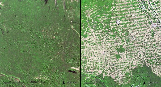 http://climate.nasa.gov/state_of_flux#Deforestation_Brazil1.jpg Deforestation, Brazil Rondônia is part of the Brazilian Amazon, on the border with Bolivia. It is one of the peripheral areas undergoing expansion within Amazonia, growing from about half a million inhabitants in 1980 to more than 1.5 million in 2009. Within the Brazilian Amazon, Rondônia has the highest deforestation rate. It reached more than 34 percent in 2008, a drastic increase from 1978 when less than 2 percent had been cut. The principal causes of deforestation in the Amazon as a whole — and especially in Rondônia — are population growth due to government-promoted immigration, the growth of the wood-products industry in conjunction with the expansion of the road network, and burning for management of pastureland and agricultural fields. Source: United Nations Environment Programme (UNEP). From Latin America and the Caribbean Atlas of our Changing Environment (2010).