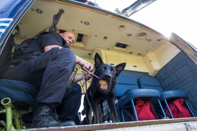 Policejní pes nesmí být bázlivý a mít z létání strach, řekl ČTK vedoucí policejních kynologů Ústeckého kraje Petr Tomášek. Výcvik policejního psa trvá zhruba dva roky.