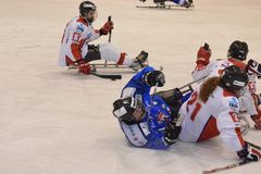 Pardubice si podruhé zahrají finále České sledge hokejové ligy