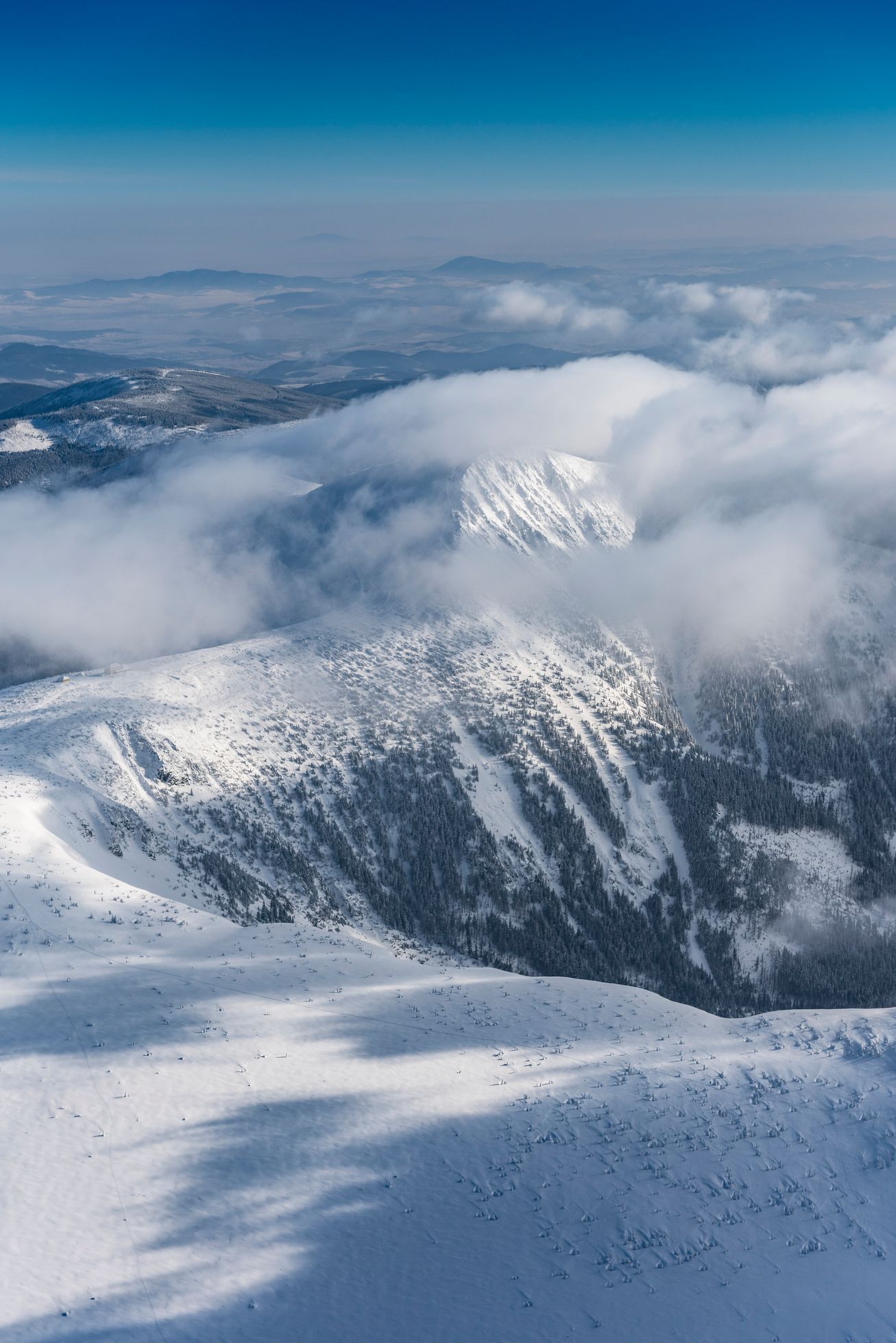 Krkonoše, KRNAP, národní park, hory, Česko, domácí, příroda
