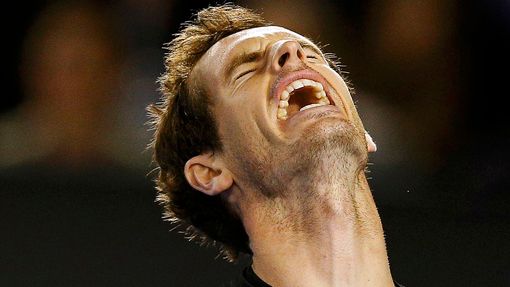 Australian Open 2015: Andy Murray při semifinále s Tomášem Berdychem