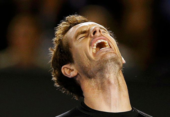 Australian Open 2015: Andy Murray při semifinále s Tomášem Berdychem