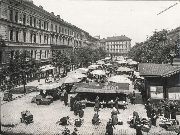 Archivní dobová kresba zachycující pražskou čtvrť Vinohrady.