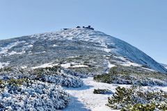 Letošní silvestr se zapsal do rekordů. Padla teplotní maxima stará i sto let