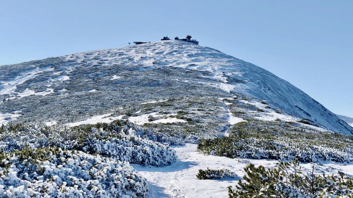 Letošní silvestr se zapíše do rekordů. Teploty byly nejvyšší za skoro 90 let; Zdroj foto: Petr Paseka
