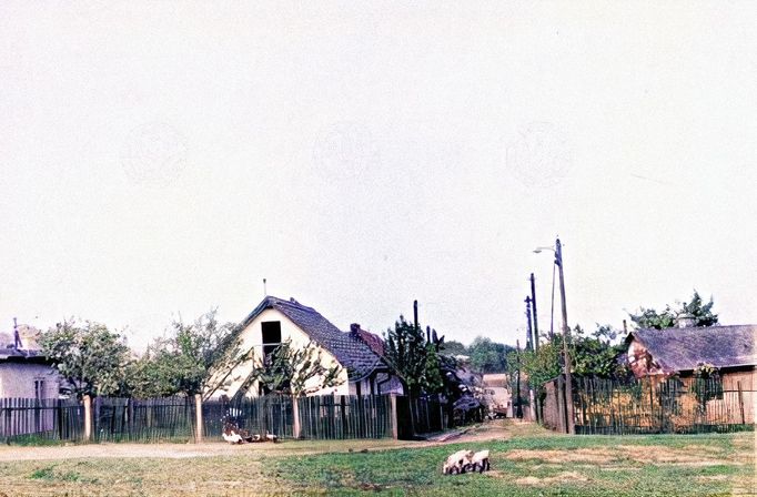 Pohled do kolonie Bohdalec ve Vršovicích. Rok 1949. Kolorováno.