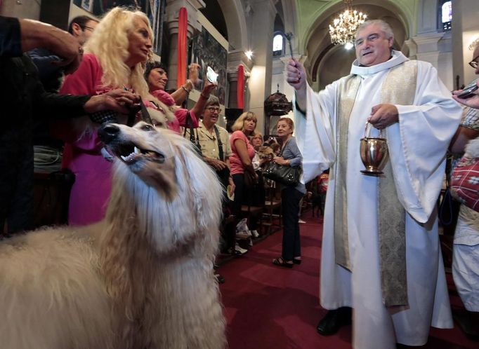 Otec Gil Florini žehná psovi během pše na počest Sv. Františka z Assisi. Kostel Saint Pierre D'Arene v Nice.