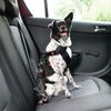 pes v aute