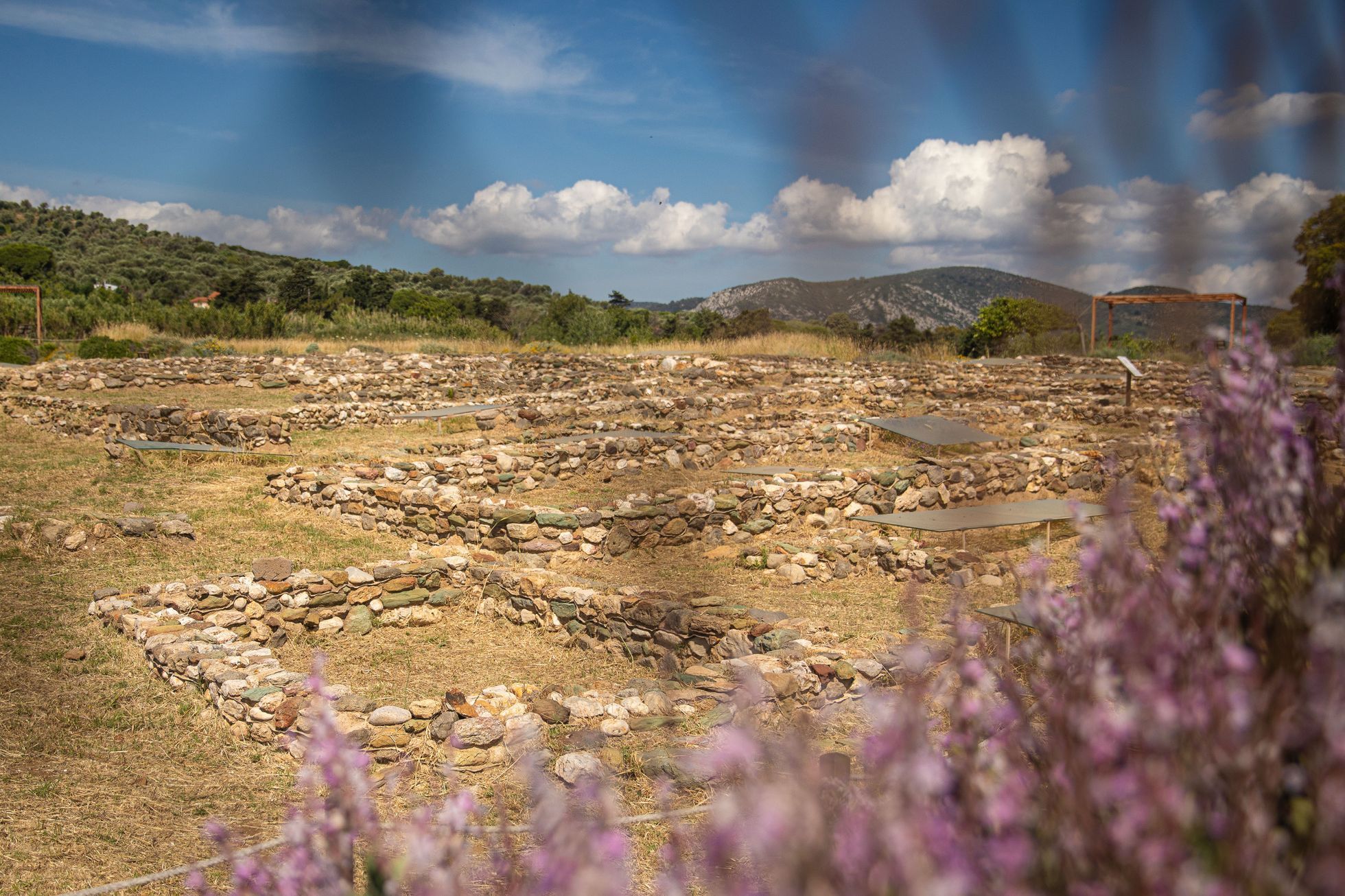 Lesbos turistické tipy, turismus, historie, antické památky, akvadukt, zkamenělý les UNESCO