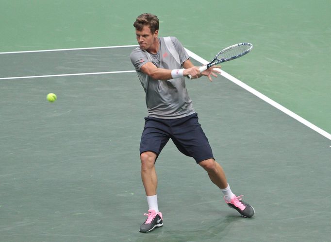 Davis Cup, Tomáš Berdych