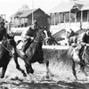 Jednorázové užití / Fotogalerie / Kouzlo chuchelských dostihů na starých fotkách. Od prvního derby uplynulo již 100 let