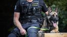 Policie dopadla recidivistu, který na Bruntálsku vykradl několik aut. Hlavní roli sehrál německý ovčák Ragnar. Ten psovody dovedl ke zloději, který se schovával v křoví.