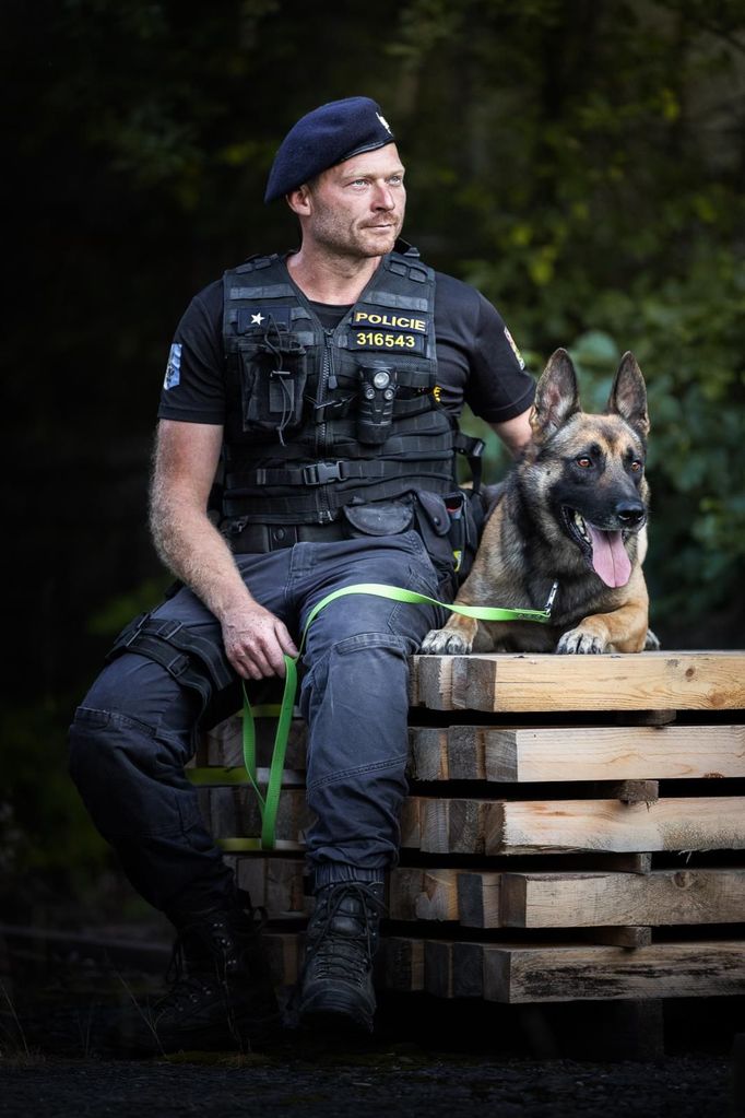 Policie dopadla recidivistu, který na Bruntálsku vykradl několik aut. Hlavní roli sehrál německý ovčák Ragnar. Ten psovody dovedl ke zloději, který se schovával v křoví.