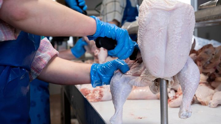 Epicentrum jatka. Chladné fabriky jsou pro virus ideální, Německo zavírá celá města