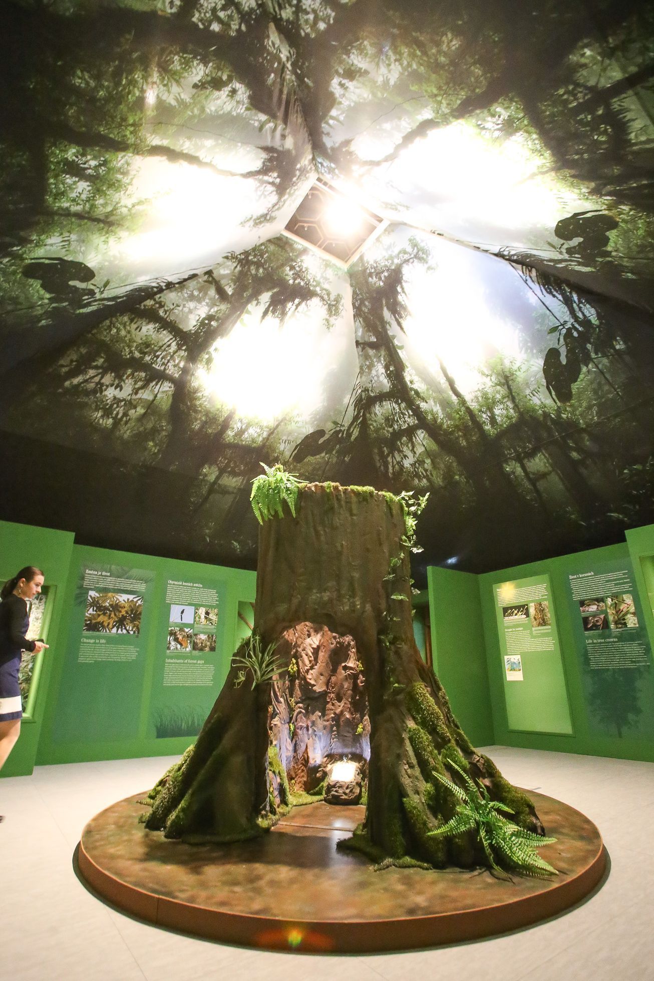 Zahájení přírodopisné výstavy Světlo a život v Nové budově Národního muzea