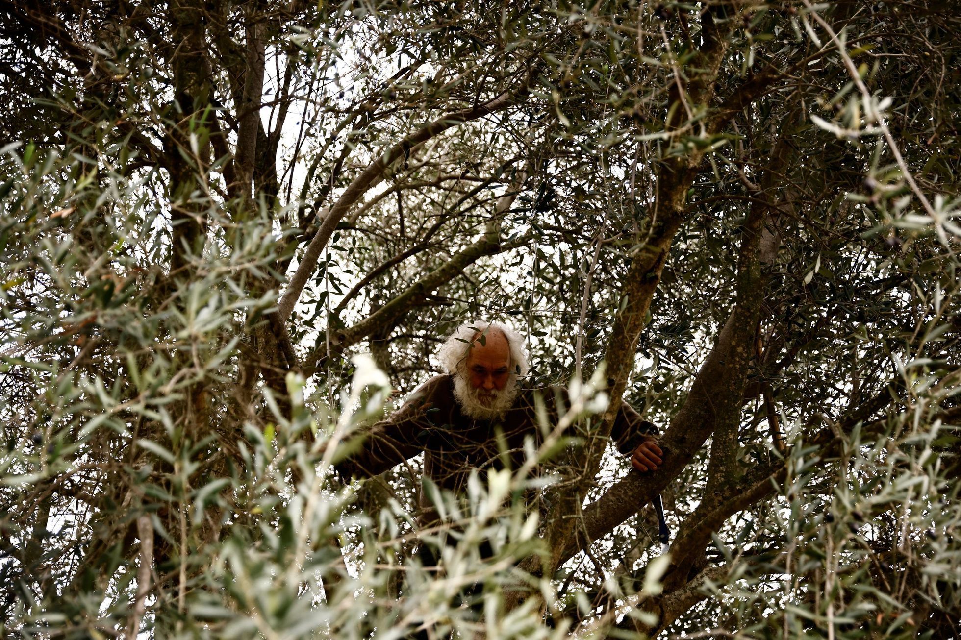itálie Fabrizio Cardinali poustevník