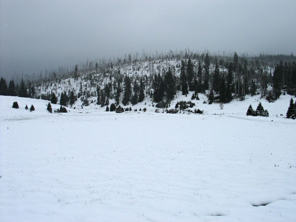 Zasněžená Šumava v květnu