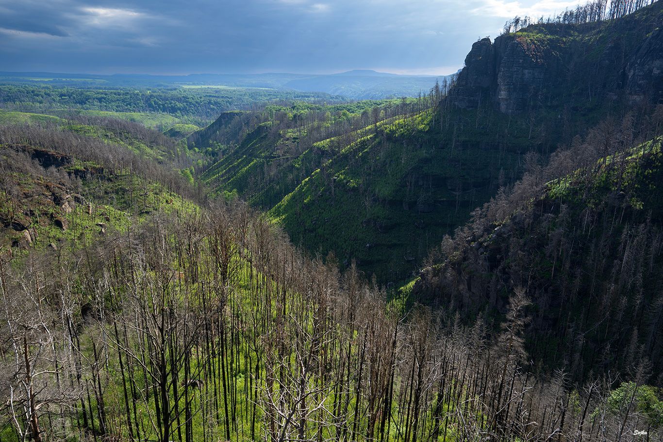 NP České Švýcarsko