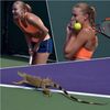 Miami Open Instagram (Kristina Mladenovic a leguán)