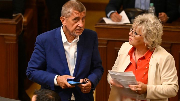 Měla si objednat zabití psa, teď Balaštíková dobrovolně pozastavila členství v ANO; Zdroj foto: ČTK / Deml Ondřej