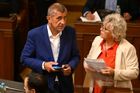 Balaštíková nebude na kandidátce, chtěla si ve sporu s manželem objednat zabití psa