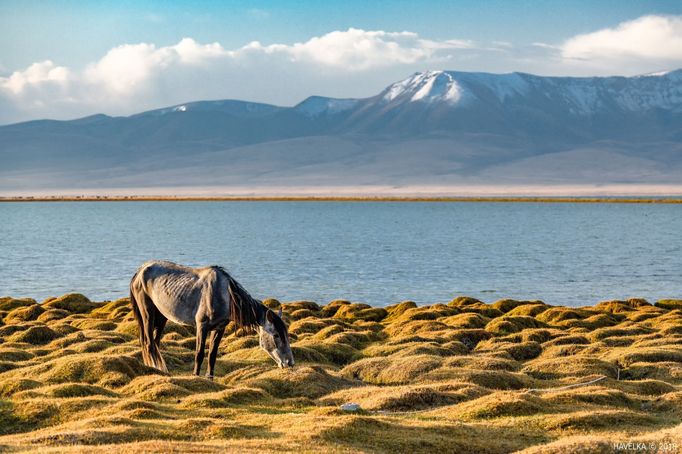 Miroslav Havelka: Kazachstán a Kyrgyzstán na fotografiích