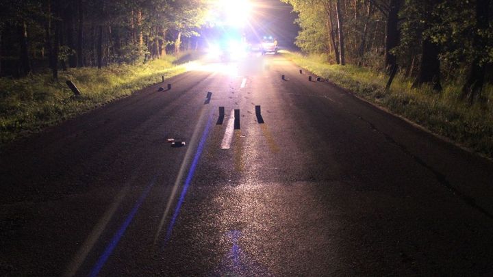 Při nehodě na Děčínsku zemřeli v noci na mladí muži, řidička byla pod vlivem alkoholu