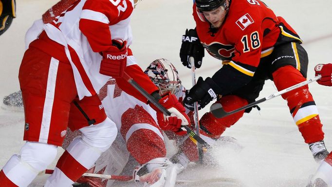 brankář Detroitu Jimmy Howard zasahuje proti Mattu Stajanovi z Calgary