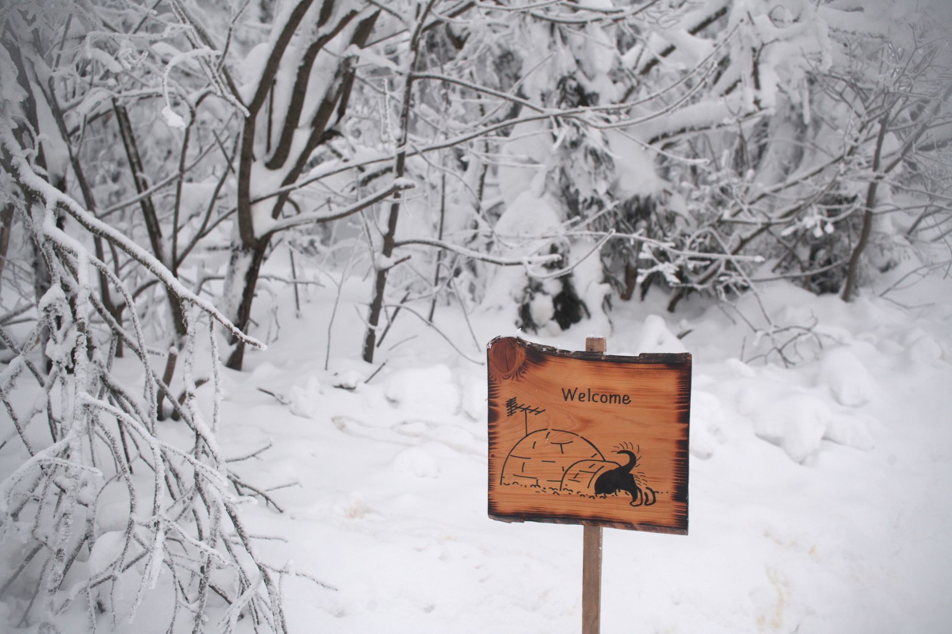 Šediváčkův long 2019, Orlické hory