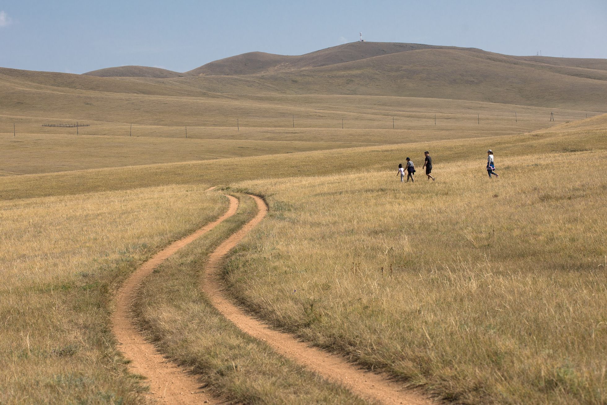 Mongolsko - kůň Převalského, Národní park Chustaj, koně, pláně, stepi