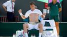 Wimbledon 2015: Tomáš Berdych