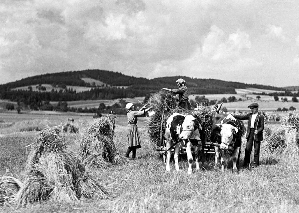 Koncentrační tábor Hradištko a neznámý příběh španělských vězňů, Koncentrační tábor Hradištko, Koncentrační tábor, Benešovsko, historie, Magazín